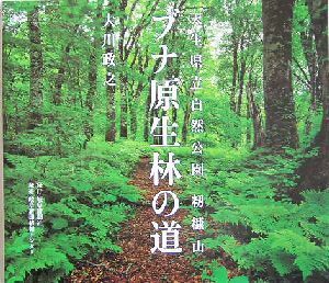 ブナ原生林の道 天生県立自然公園　籾糠山／大川政之(その他)