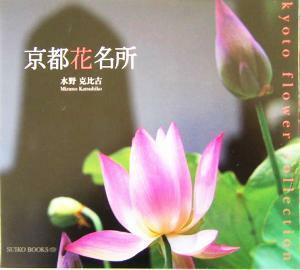 京都花名所 Ｓｕｉｋｏ　ｂｏｏｋｓ１２９／水野克比古