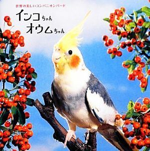 インコちゃんオウムちゃん 世界の美しいコンパニオンバード／池渕万季【監修】