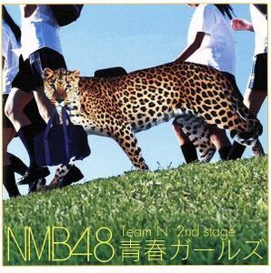 青春ガールズ／ＮＭＢ４８