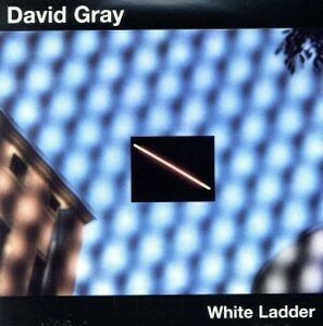 【輸入盤】Ｗｈｉｔｅ　Ｌａｄｄｅｒ／デヴィッド・グレイ