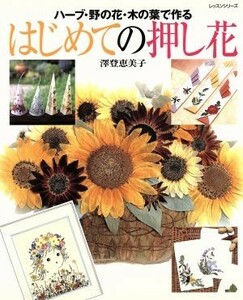 はじめての押し花 ハーブ・野の花・木の葉で作る レッスンシリーズ／澤登恵美子(著者)