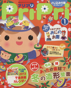 ＰｒｉＰｒｉ(２０１３年１月号) 冬の造形壁面／世界文化社