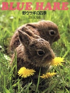 野ウサギの四季 ＢＬＵＥ　ＨＡＲＥ／富士元寿彦(著者)