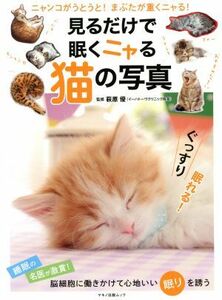 見るだけで眠くニャる猫の写真／萩原優