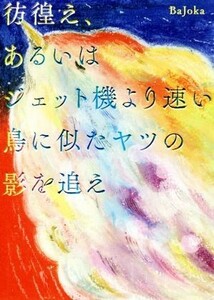 彷徨え、あるいはジェット機より速い鳥に似たヤツの影を追え／ＢａＪｏｋａ(著者)