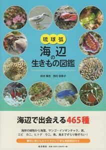 琉球弧　海辺の生きもの図鑑／鈴木廣志(著者),西村奈美子(著者)