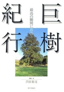 巨樹紀行 最高の瞬間に出会う／芦田裕文