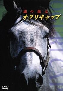 オグリキャップ　激闘の真実／（競馬）