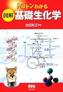 トコトンわかる図解　基礎生化学／池田和正【著】