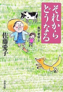 それからどうなる 我が老後　５ 文春文庫／佐藤愛子【著】