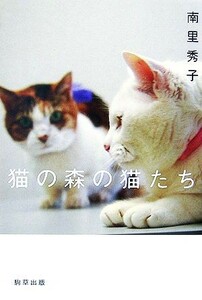 猫の森の猫たち／南里秀子【著】