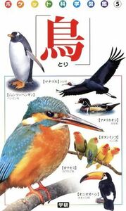 鳥 ポケット科学図鑑／学研マーケティング(その他)