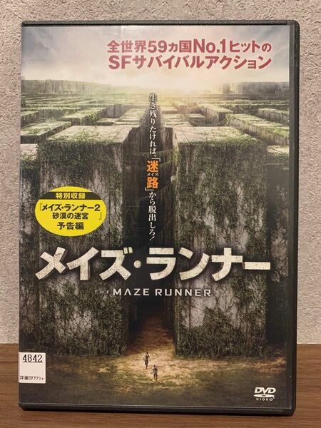 メイズ・ランナーDVD