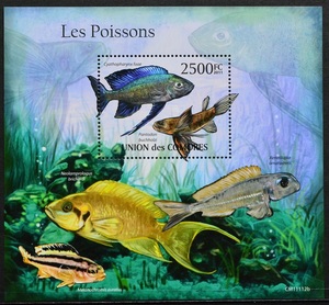 「D813」コモロス諸島切手　2011年　魚