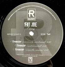 Fat Joe / Envy【12''】1996 / US / Relativity / 88561-1546-1 / 検索：333yen vinyl_画像4