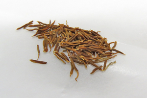 Hechtia michoacana seeds 50 bead (ε25)