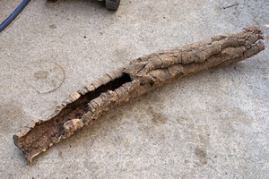  natural Portugal production bar Gin cork tube empty . type 80cm( control number :TP2) shell ta- reptiles amphibia layout 