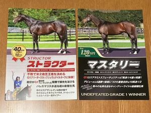 ストラクター　マスタリー　種牡馬カタログ　レックス