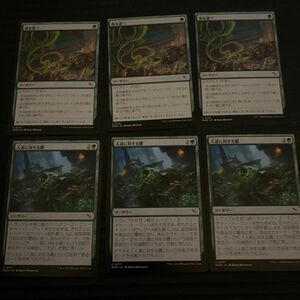 人道に対する膿　毒を選べ　 各3枚セット　日本語版　MTG カルロフ邸殺人事件