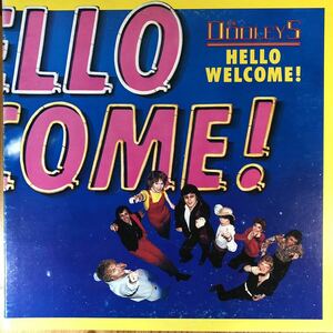 m216 LPレコード【HELLO WELCOME!/THE DOOLEYS】ハロー・ウェルカム/ザ・ドゥーリーズ