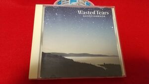 CD　浜田省吾　WASTED TEARS　　レトロCD　