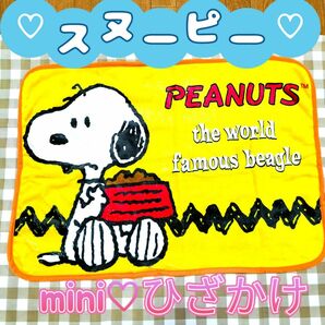 〈新品〉スヌーピー☆mini ひざかけ　ブランケット☆インテリア　SNOOPY