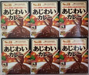 S＆B こだわりの香辛料とたまねぎとけ込むソースのあじわいカレー 辛口 1人前170ｇ×6袋セット　送料無料　3種のたまねぎの旨み