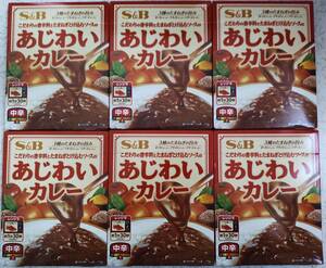 S＆B こだわりの香辛料とたまねぎとけ込むソースのあじわいカレー 中辛 1人前170ｇ×6袋セット　送料無料　3種のたまねぎの旨み