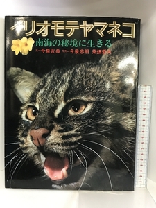 イリオモテヤマネコ 南海の秘境に生きる 今泉吉典・今泉忠明・茶畑哲夫 平凡社 1982年