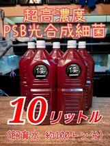 【倭めだか】 10リットル 超高濃度 PSB 光合成細菌 10L メダカ金魚ベタゾウリムシ タマミジンコ オオミジンコ タイリクミジンコ 等のエサに_画像1