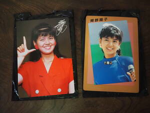 昭和レトロ 80年代アイドル 南野陽子 未使用 下敷き2枚まとめて◆当時物 アイドルグッズ 80's 