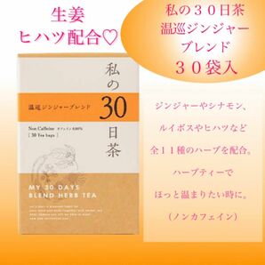 冷えが気になる方へ　温巡ジンジャーブレンド 私の30日茶 1ヶ月分30TB