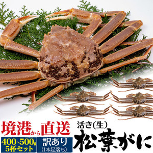 訳あり ズワイガニ 活き 生 姿 松葉ガニ 生 400~500g×5杯セット 境港直送 冷蔵便 ずわいがに お取り寄せ グルメ 国産 カニ 蟹