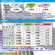 ロックペイント パナロック 調色 アルファロメオ 201 ポーラホワイト 300g（原液）Z24_画像4