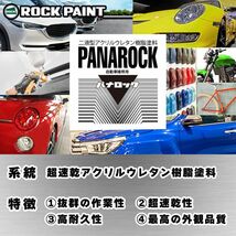 ロック パナロック ライトピンク 3kgセット/2液 ウレタン ロックペイント 自動車用 塗料Z26_画像2