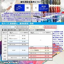 ロックペイント パナロック 調色 フォード HR HOT RED 2kg（原液）Z26_画像3