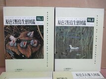 【４冊セット】 原色日本野鳥生態図鑑 vol.Ⅰ・Ⅱ 清棲幸保/原色飼鳥大図鑑/原色世界衣服大図鑑 田中薫 田中千代 保育社_画像3