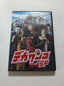 DVD【デカワンコSP スペシャル】レンタル キズ多数 ヤケあり 多部未華子 沢村一樹 手越祐也 升毅 大倉孝二 田口トモロヲ 佐野史郎 伊東四朗