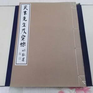 Y○/天来先生戌寅帖/昭和13年発行/上田順敬 署/晩翠軒の画像2