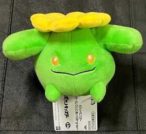 ポケモン　カラーセレクションぬいぐるみ　グリーン