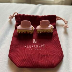 パリ本店購入　アレクサンドル ドゥパリ【VENDOME】 Baby クリップ　ALEXANDRE DE PARIS