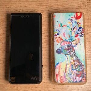 ソニー SONY ウォークマン ZX NW-ZX507(B) 64G