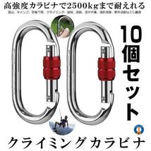 5セット 登山用 カラビナ 25KN 2個セット×5 クライミングカラビナ ハードスチール 登山用具 2-KARABI25_画像1