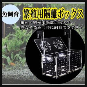 水槽☆魚☆繁殖☆隔離ケース☆孵化☆産卵箱☆魚の隔離☆飼育ボックス☆組み立て式