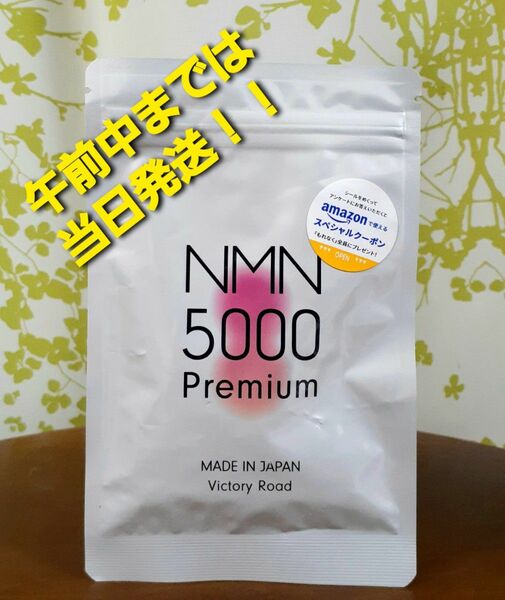 ビクトリーロード NMN5000 Premium 40カプセル