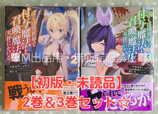 【初版・未読品】ぼくは異世界で付与魔法と召喚魔法を天秤にかける 2巻 ＆ 3巻 セット☆