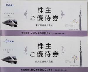 東武鉄道株主優待券冊子×２冊　2024年6月30日有効　ネコポス便送料無料