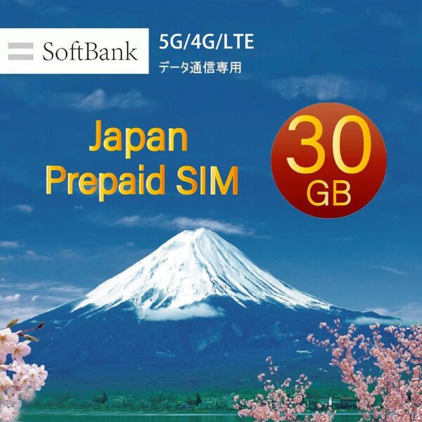 Softbank プリペイドデータ専用SIM 30GBに最大180日間