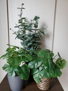 IKEA 人工観葉植物 3点セット + 鉢カバー付き 造花